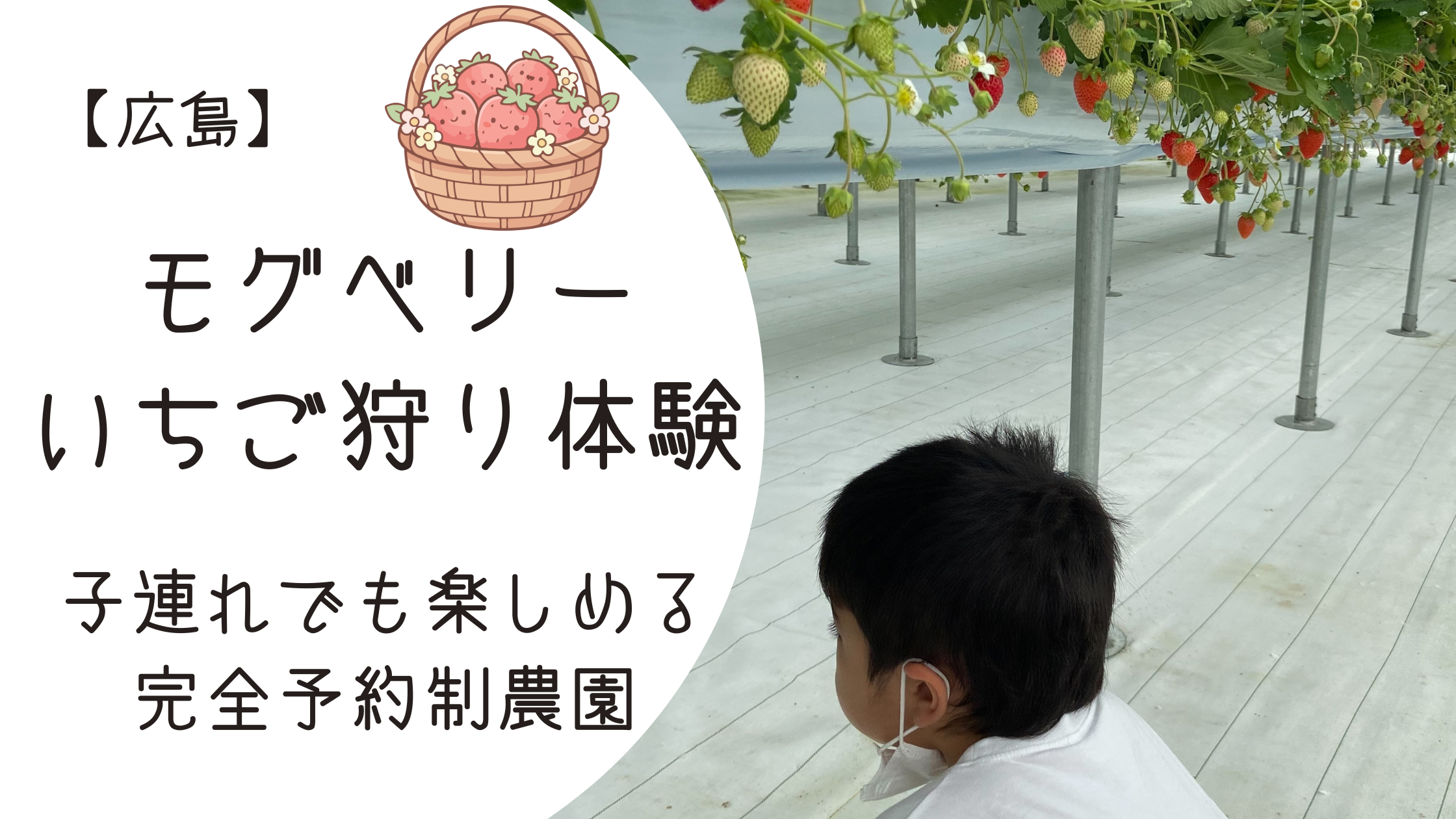 子どもと楽しむ広島市の人気いちご狩りスポット モグベリー