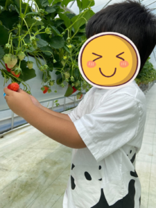 モグベリーでいちご狩り