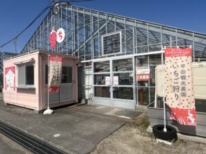 平田観光農園（君田いちごハウス）で子連れいちご狩り