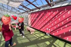 平田観光農園（君田いちごハウス）の売店