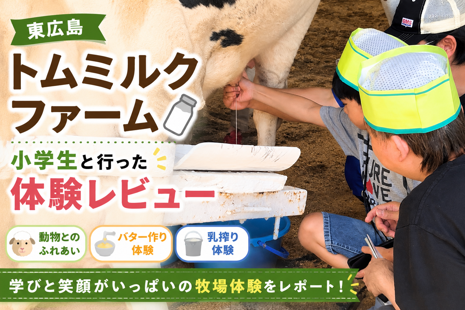 トムミルクファームで乳搾り体験をする小学生