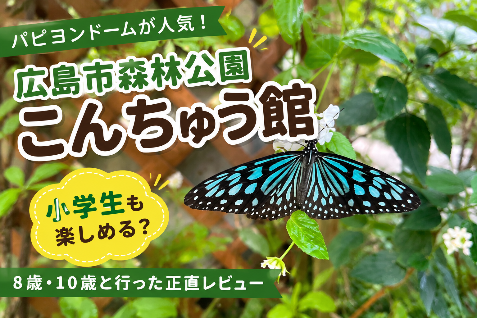 広島市森林公園こんちゅう館のパピヨンドームで花にとまる青い蝶