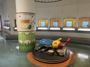 広島市森林公園こんちゅう館の展示室