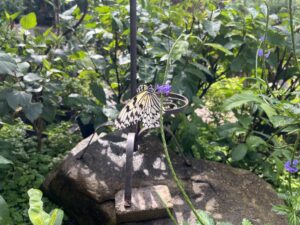広島市森林公園こんちゅう館のパピヨンドーム