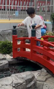 桂浜水族館で餌やり体験をする子供