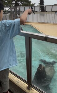 桂浜水族館でオットセイに餌やりをする子供