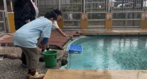 桂浜水族館でアジを釣る子供