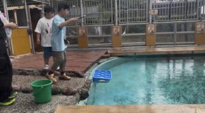 桂浜水族館でアジを釣る小学生