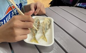 桂浜水族館で釣ったアジを調理してもらったアジフライ
