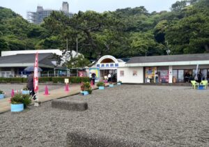 桂浜水族館の外観