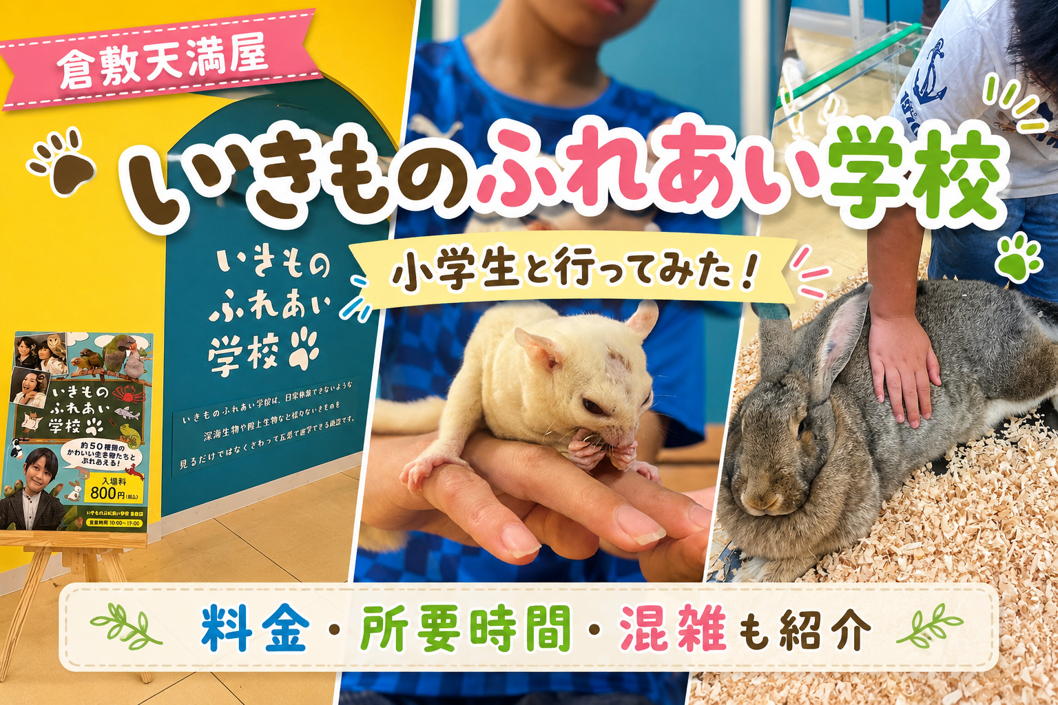 倉敷天満屋いきものふれあい学校を小学生と体験｜ウサギやフクロモモンガとのふれあい