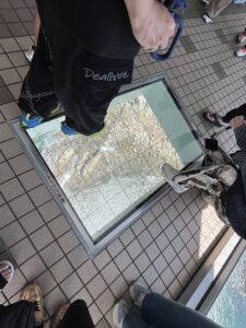 渦の道の床ガラスの様子