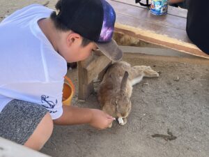 しろとり動物園でウサギに餌やりをする小学生