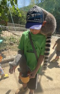 しろとり動物園でサルが登ってきた小学生
