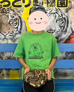 しろとり動物園でヘビと写真撮影をする小学生